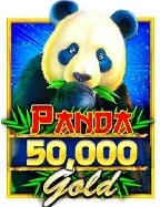 ทำความรู้จักกับเกม cash or crash ทดลอง เล่น