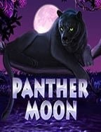 สนุกกับสล็อต 555 ฟรี เครดิต ทดลองเล่นที่ห้ามพลาด